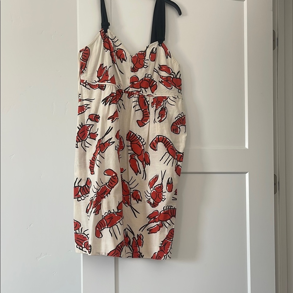 Red and Black Ruched Mini Sundress